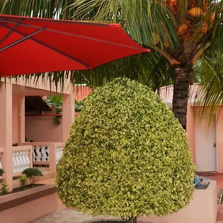 Conrada'S Place Hotel And Resort-2